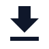 Download Icon
